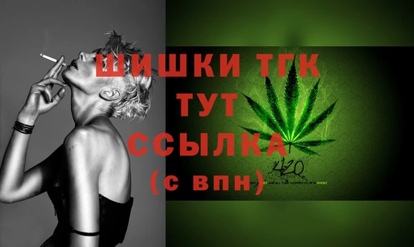 ГАЛЛЮЦИНОГЕННЫЕ ГРИБЫ Елабуга