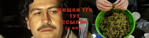 бошки Ельня