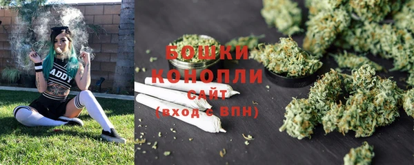 ГАЛЛЮЦИНОГЕННЫЕ ГРИБЫ Елабуга