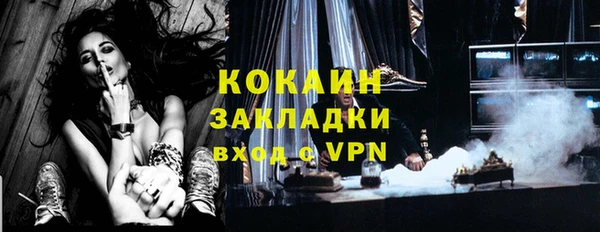 бошки Ельня