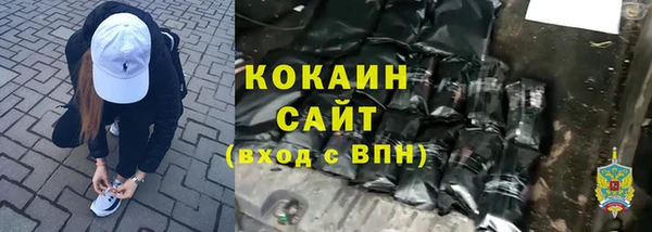 ГАЛЛЮЦИНОГЕННЫЕ ГРИБЫ Елабуга